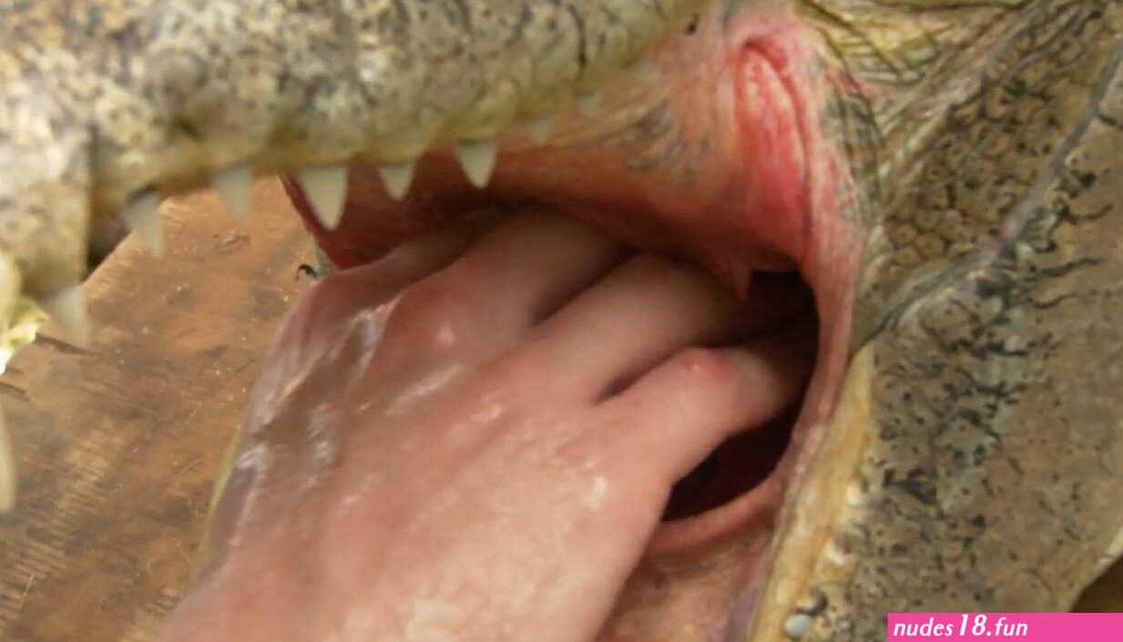 vore crocodile anal