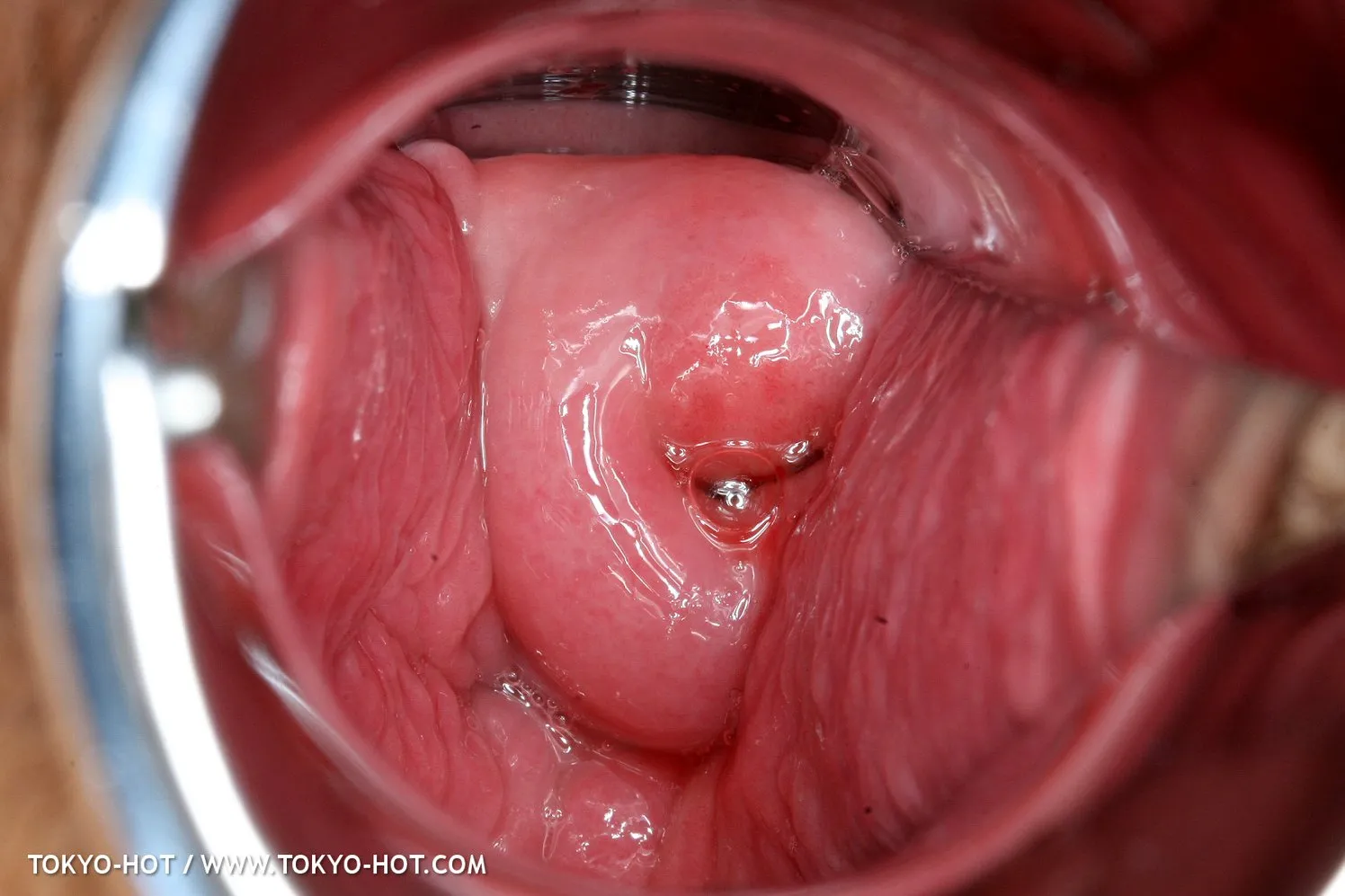 pussy internal