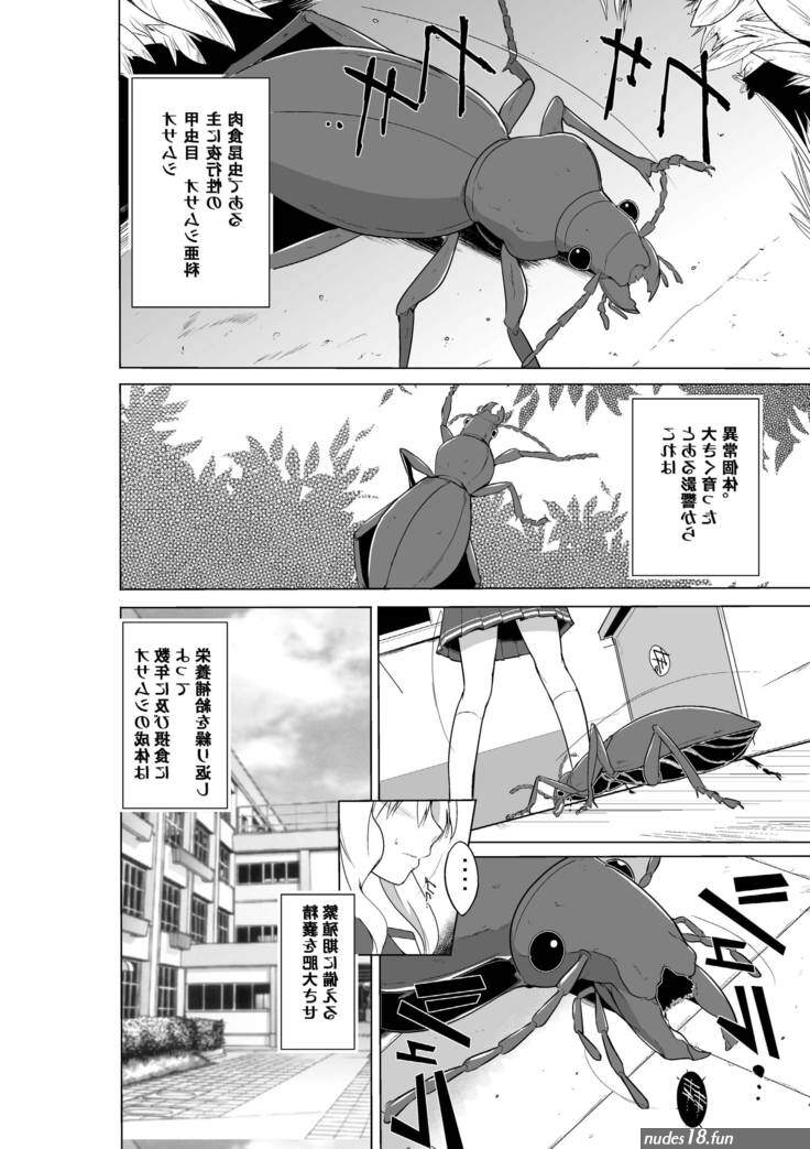 insect egg porn comic