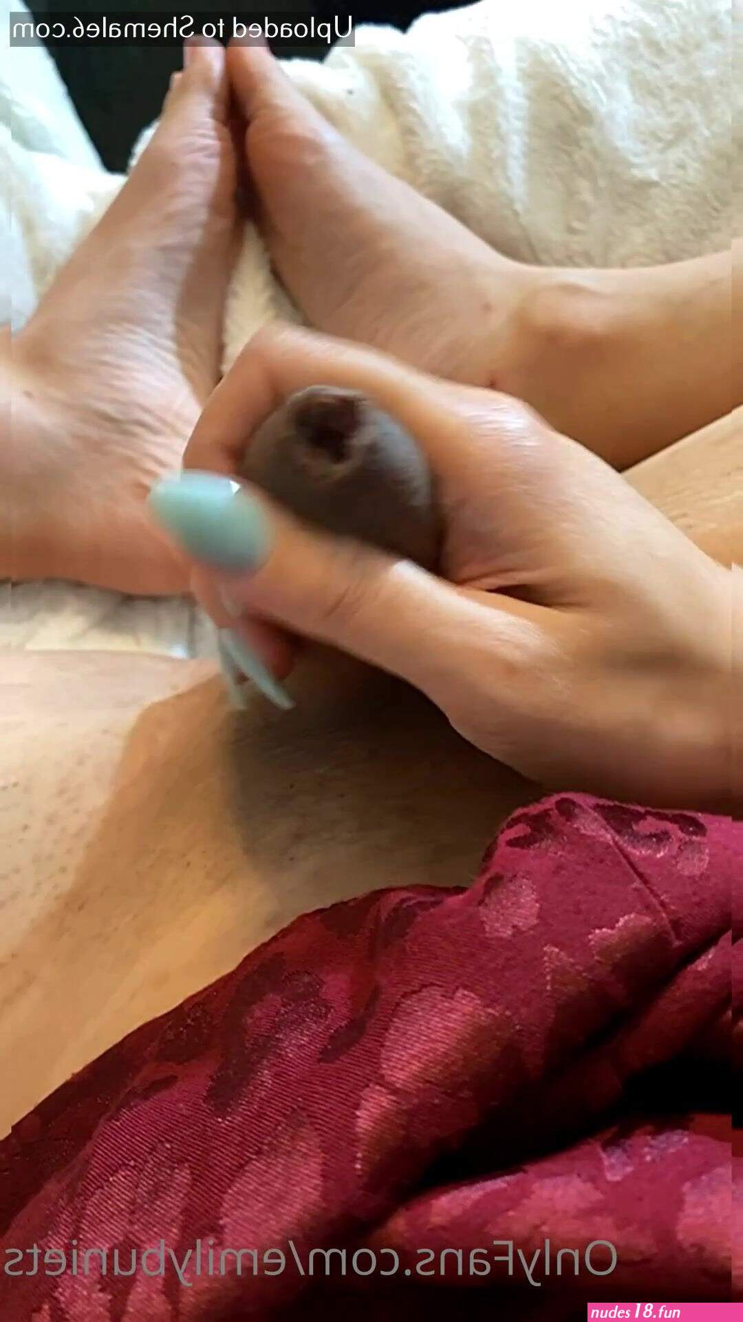 EmilyBunieTs
