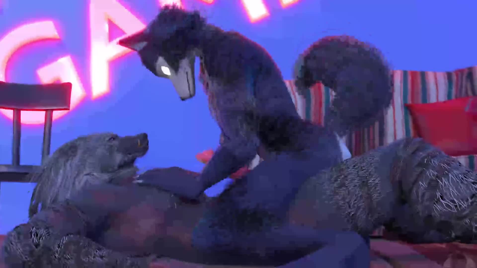 Beastars Blaidd elden Ring 2boys Longer Than 5 Minutes