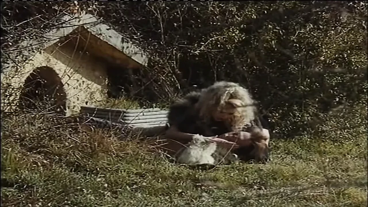 Alice Nel Paese Delle Pornomeraviglie 1993 Russian Dub