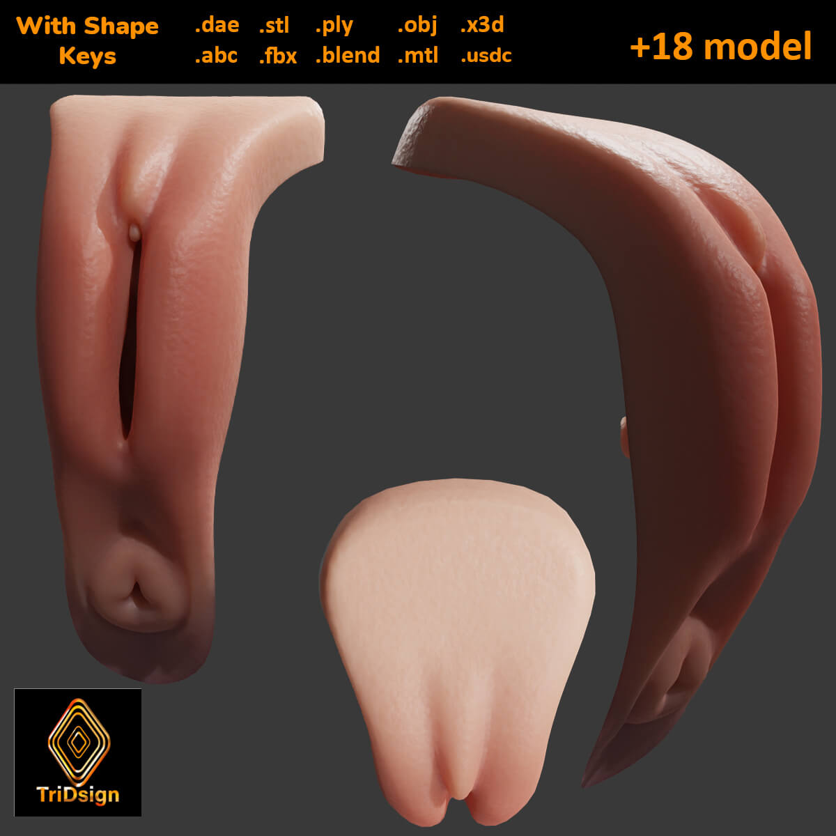 Realistic Vagina Low Poly Model by TriDsign