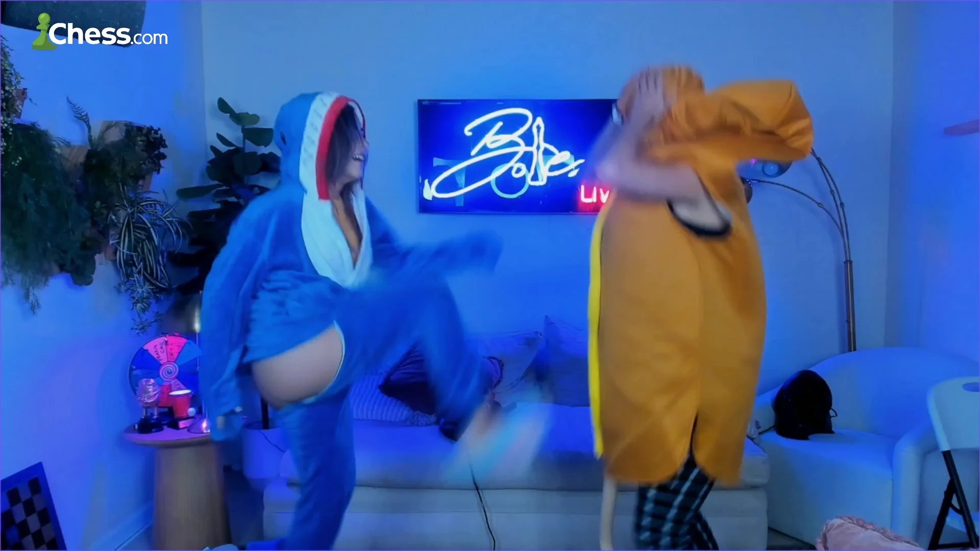 Twitch Stream Video