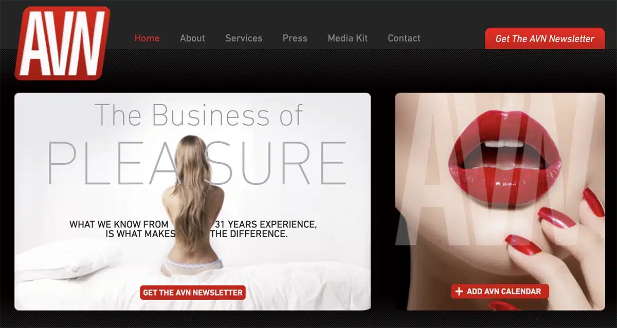 12 Giant Porn Companies: The Billion Dollar Firms in Control