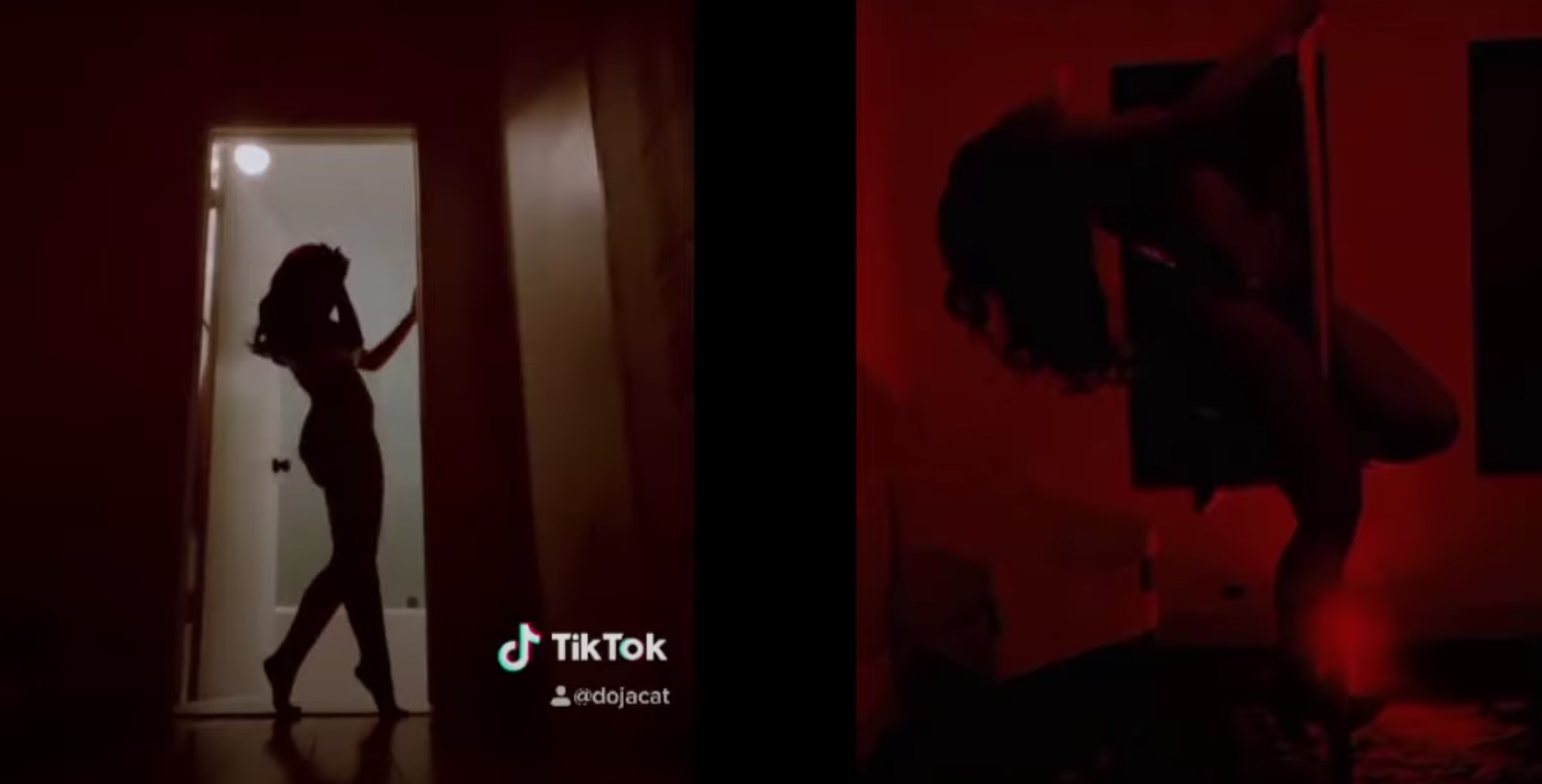 The SilhouetteChallenges hijacking exposed how women of color are targeted for exploring sexuality
