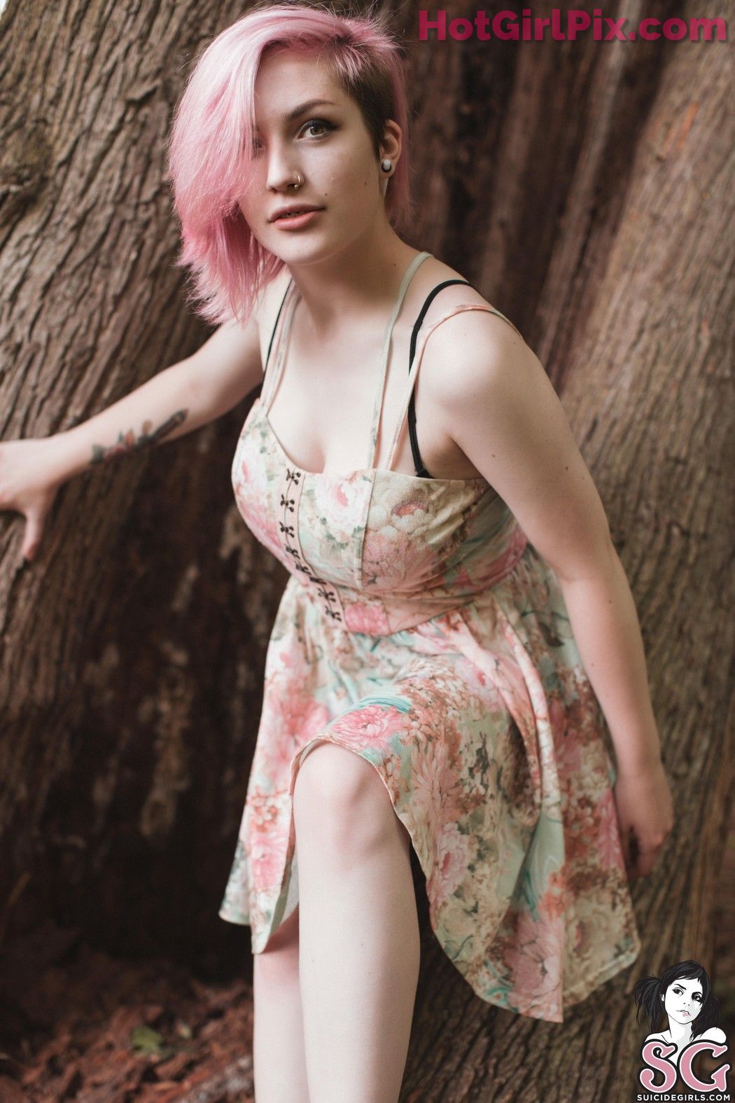 Suicide Girls Dawn