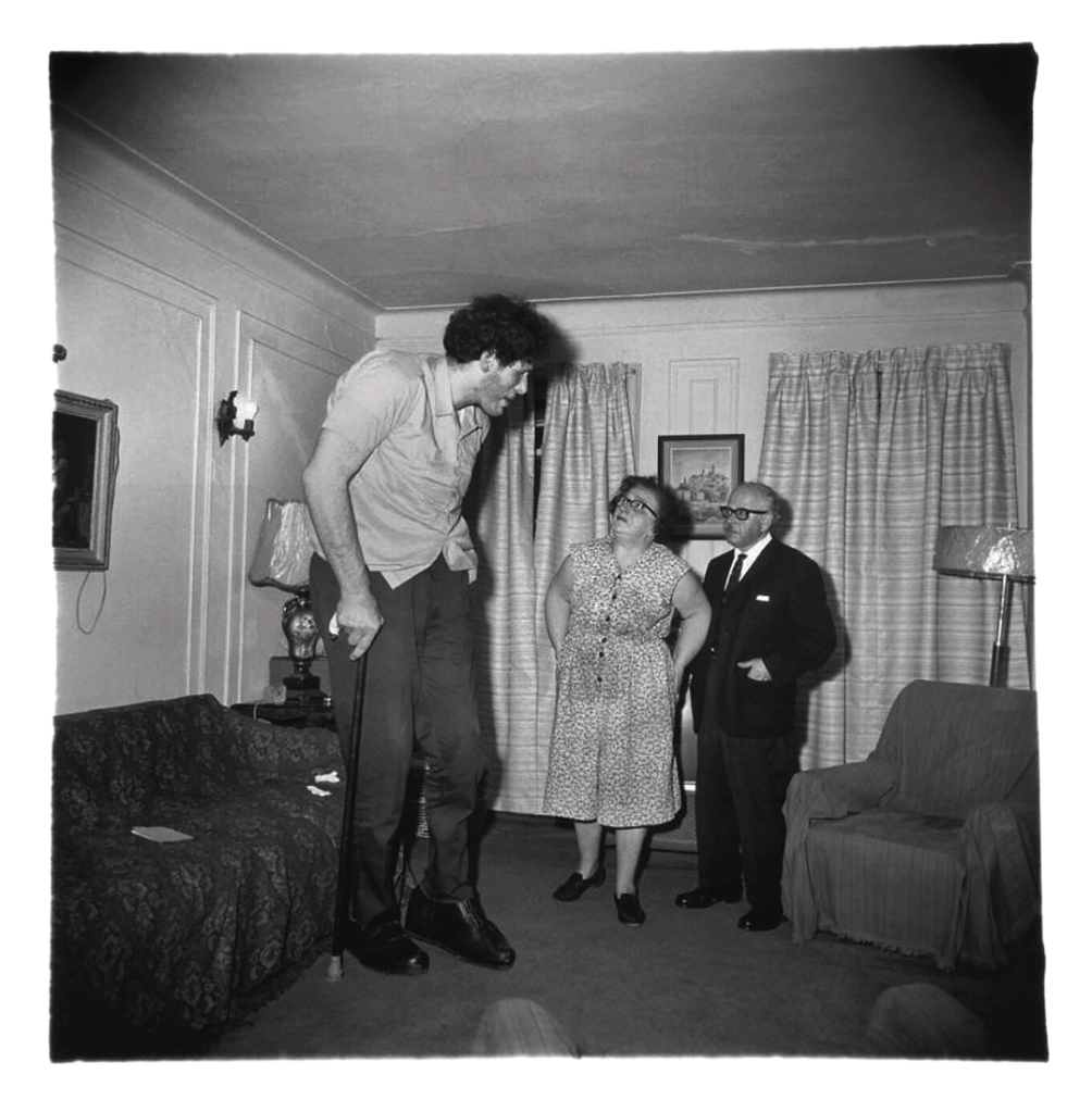 Diane Arbus Retired man and his wife at home in a nudist camp one morningArt Blart art and cultural memory archive