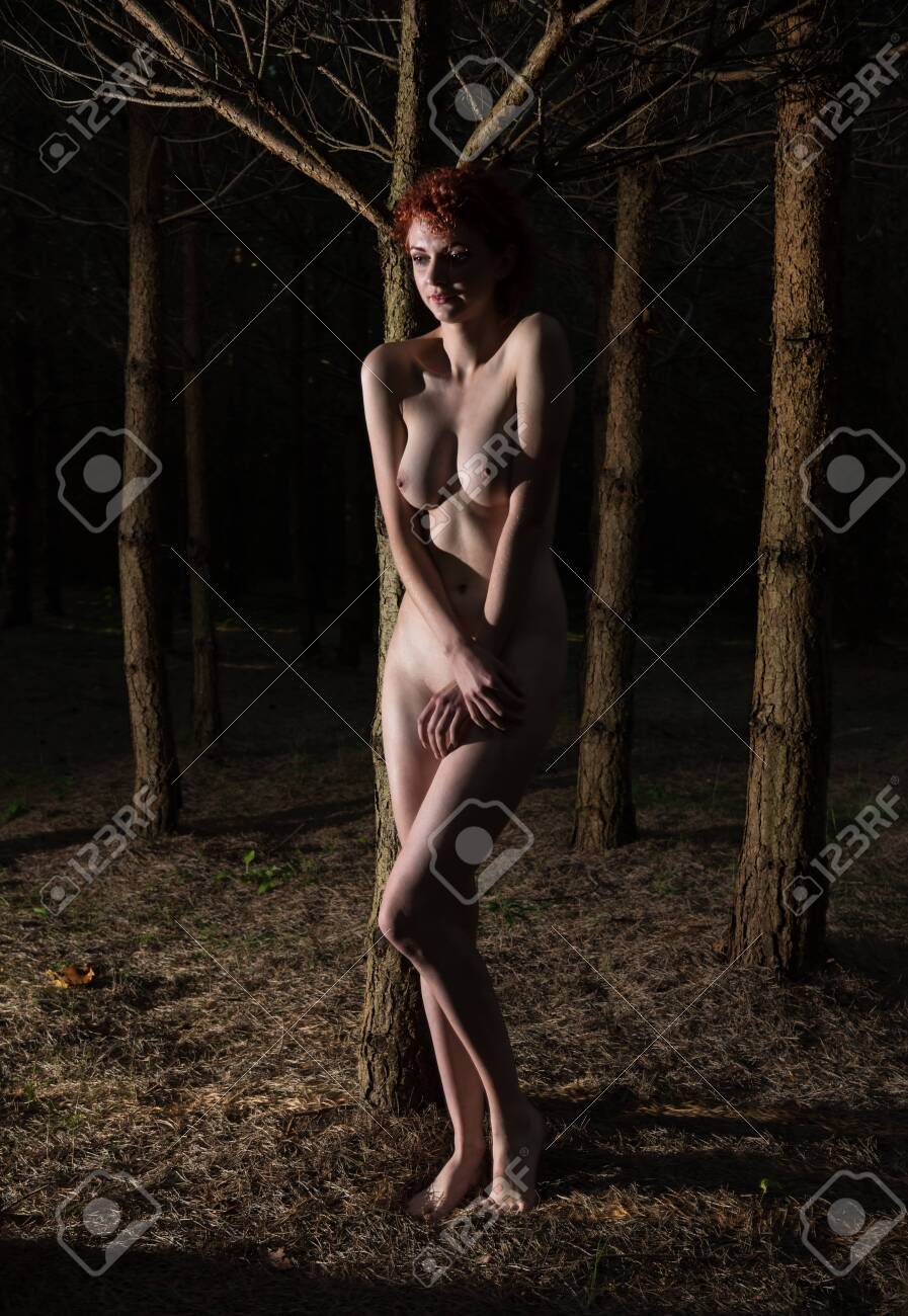 Beautiful Young Nude Woman Posing In The Forest At Night Stock Photo Picture and Royalty Free Image. Image 130807178.