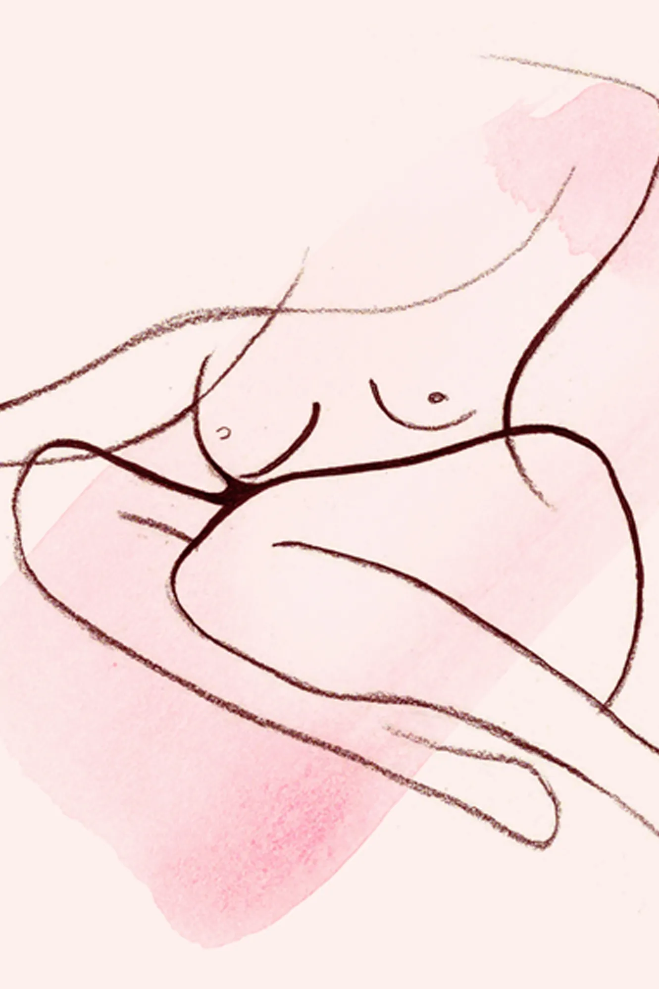 Vagina Diagram Anatomy: Everything You Need To Know
