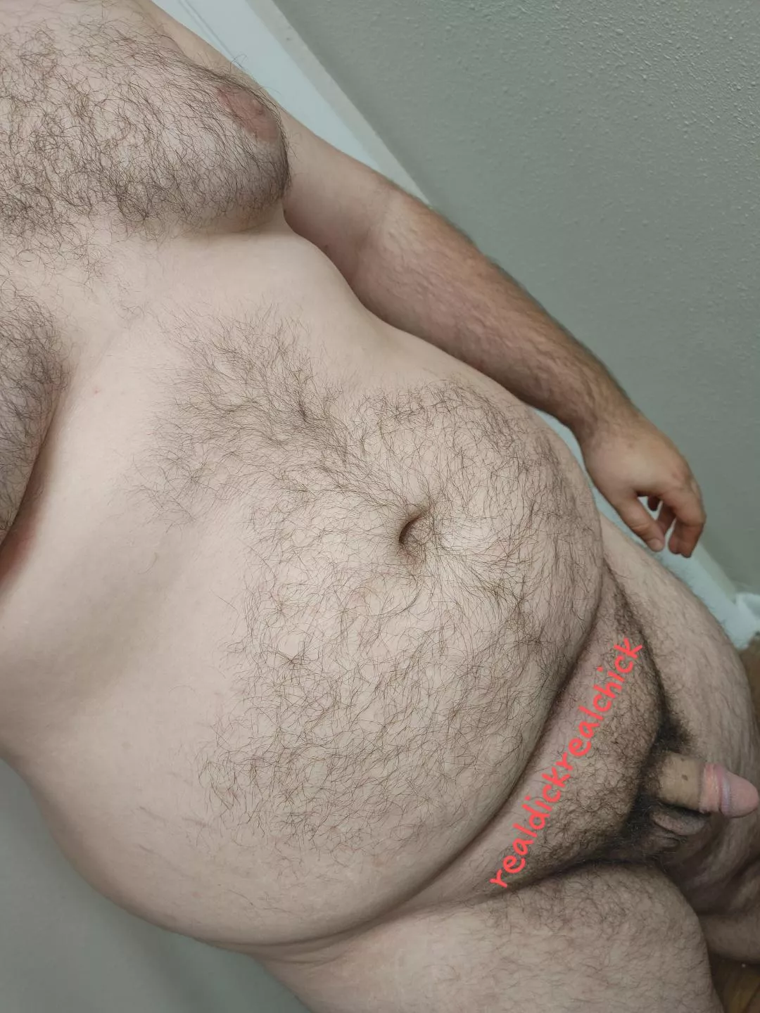 chubby hairy small cock. would you play with me? nudes by realdickrealchick