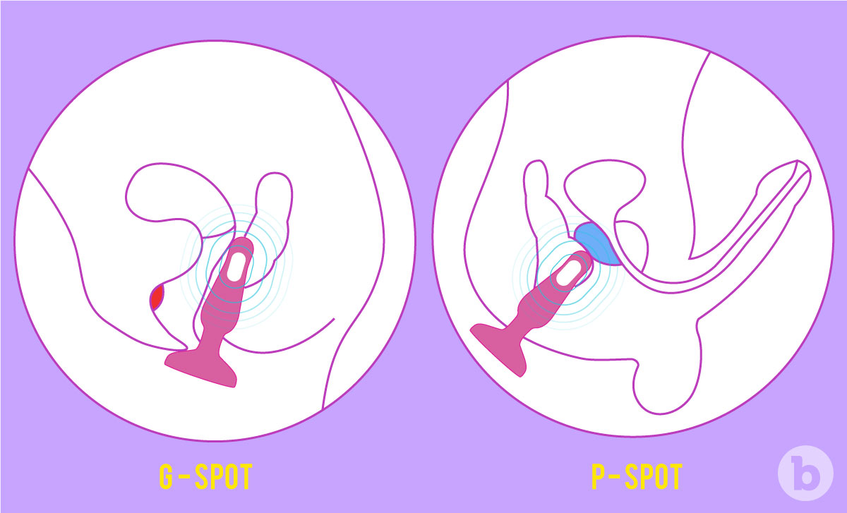 Butt Plug FAQ: Which Butt Plug Is the Best for Me?