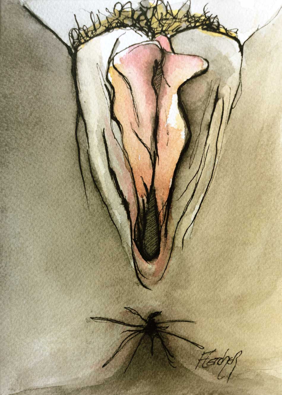Sarahs Vulva erotic ink drawing Stewart Fletcher