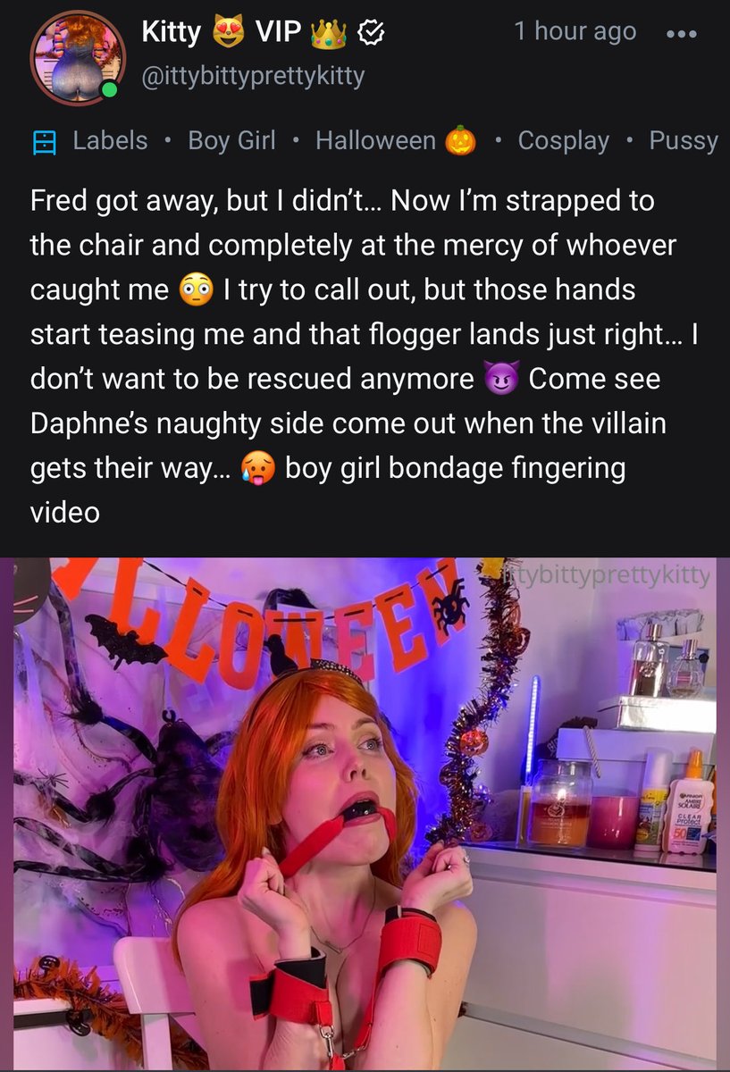 Ittybittyprettykitty ittybittypre Posts X