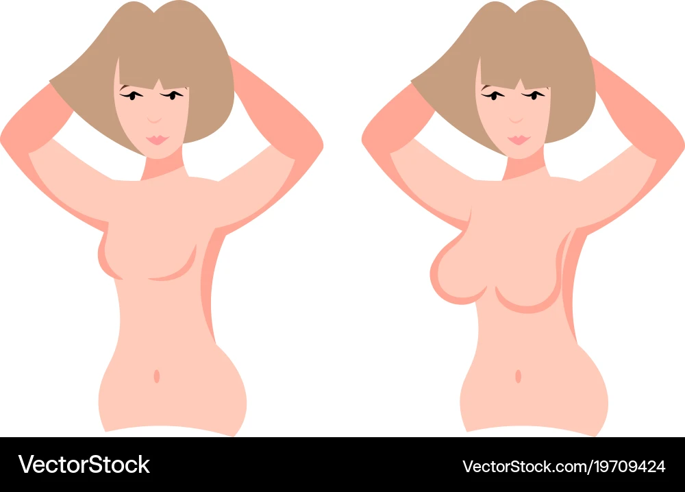 Big boobs and small breasts Royalty Free Vector Image