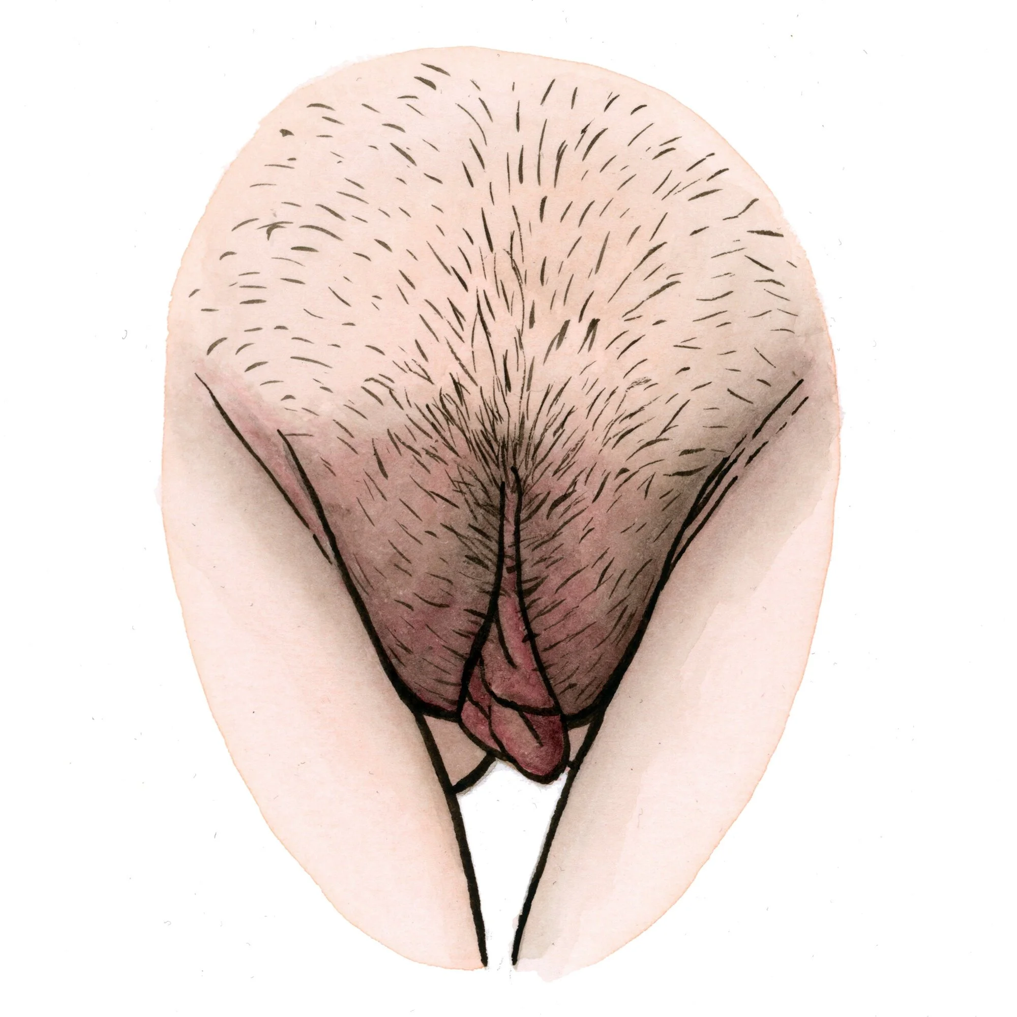 Innie versus Outie Vaginas: Embracing Our Petals in All Their Glory Body Compass
