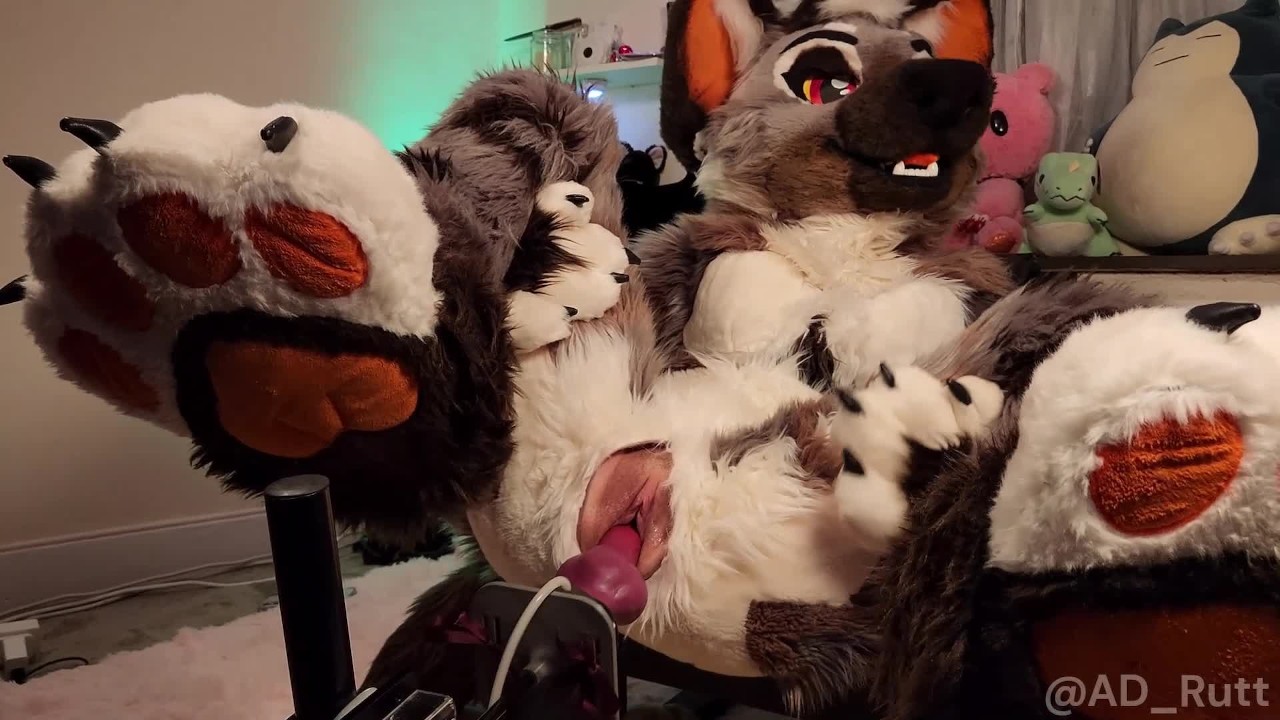 Furry meid neemt volledige fursuit neukmachine beukende creampie Only Fans preview