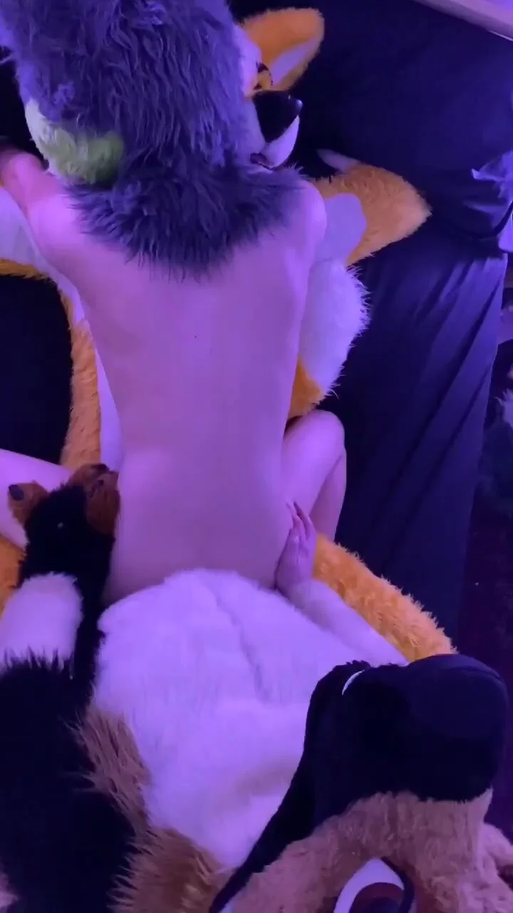 Furries Fucking in Public: Fursuit sex