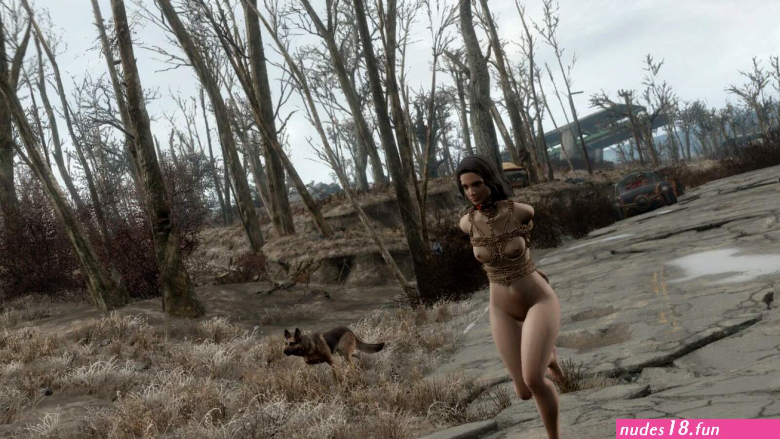 FO4 Nude Basics