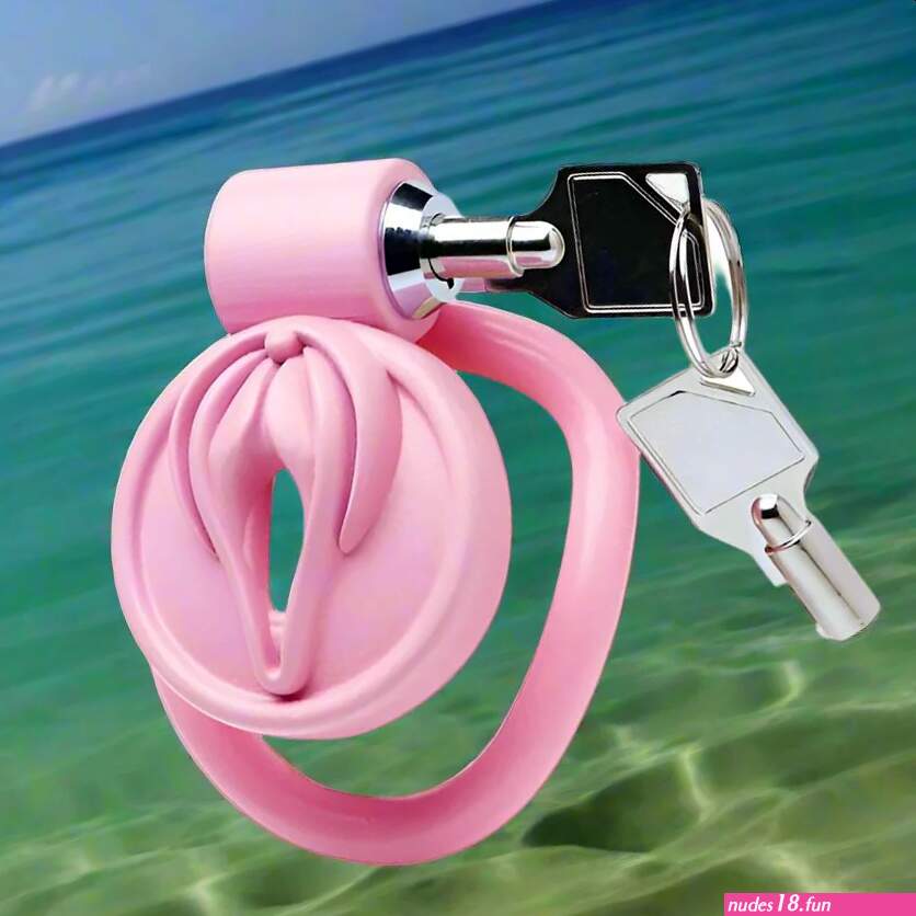 Master Series Pussification Vulva Locking Chastity Cage