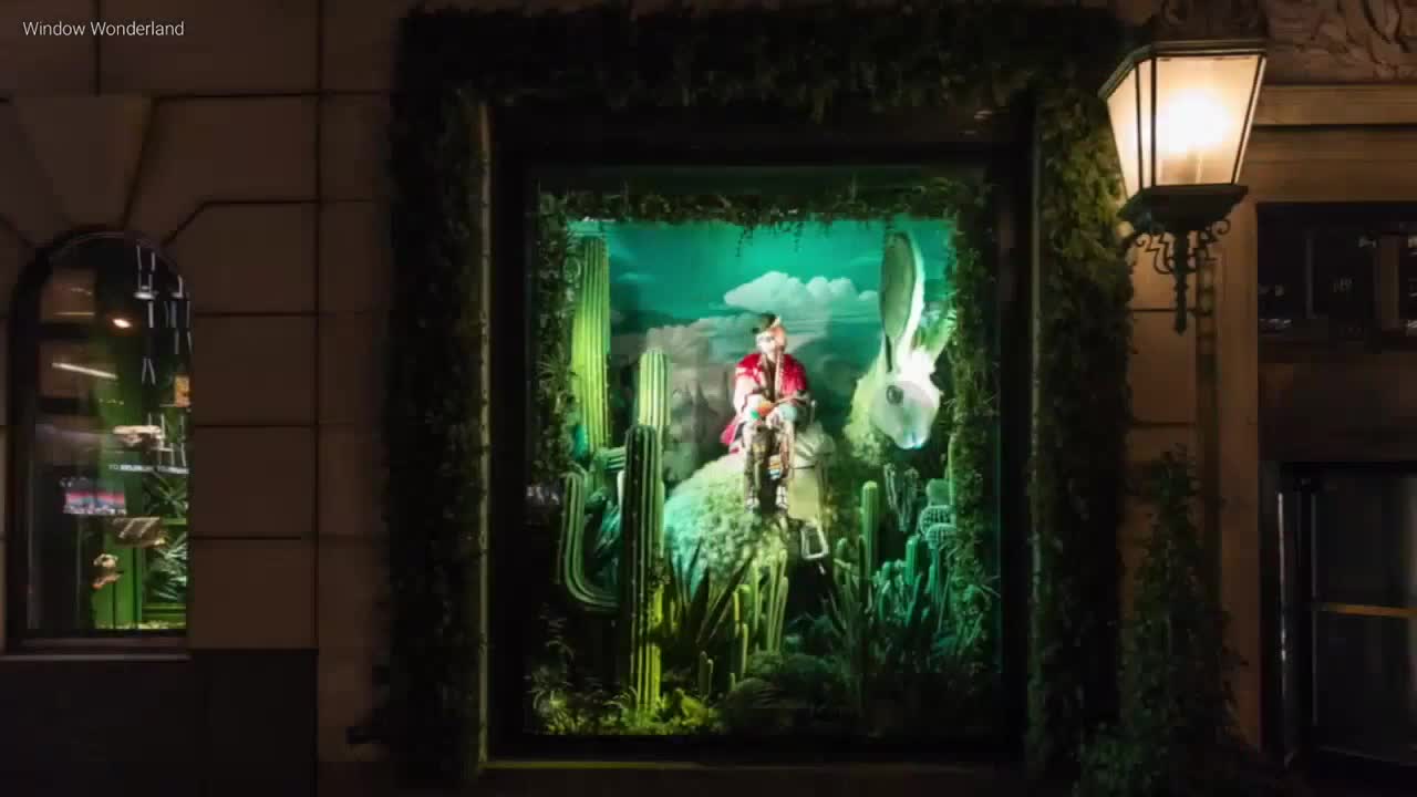 wiindow to wonderland