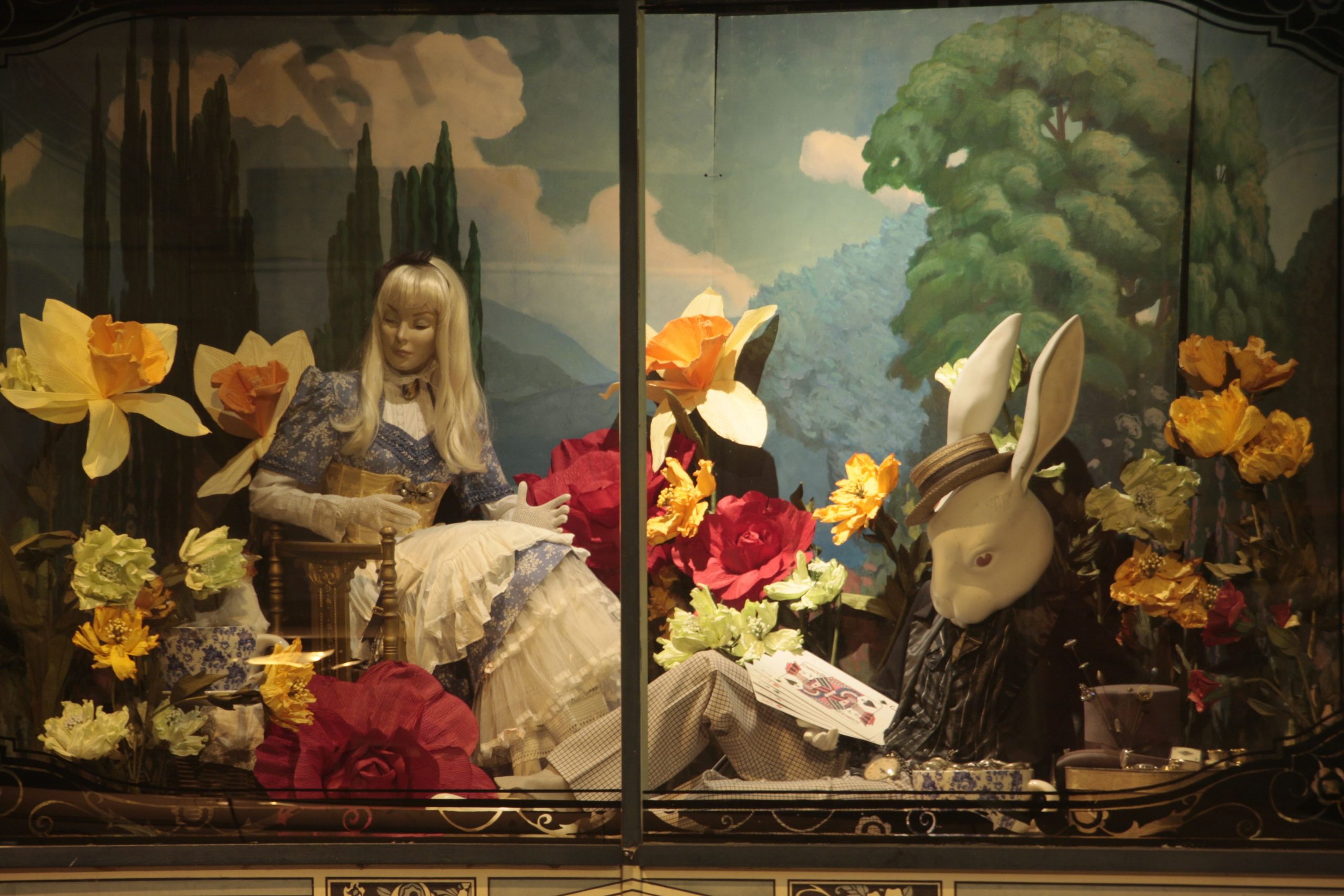 wiindow to wonderland