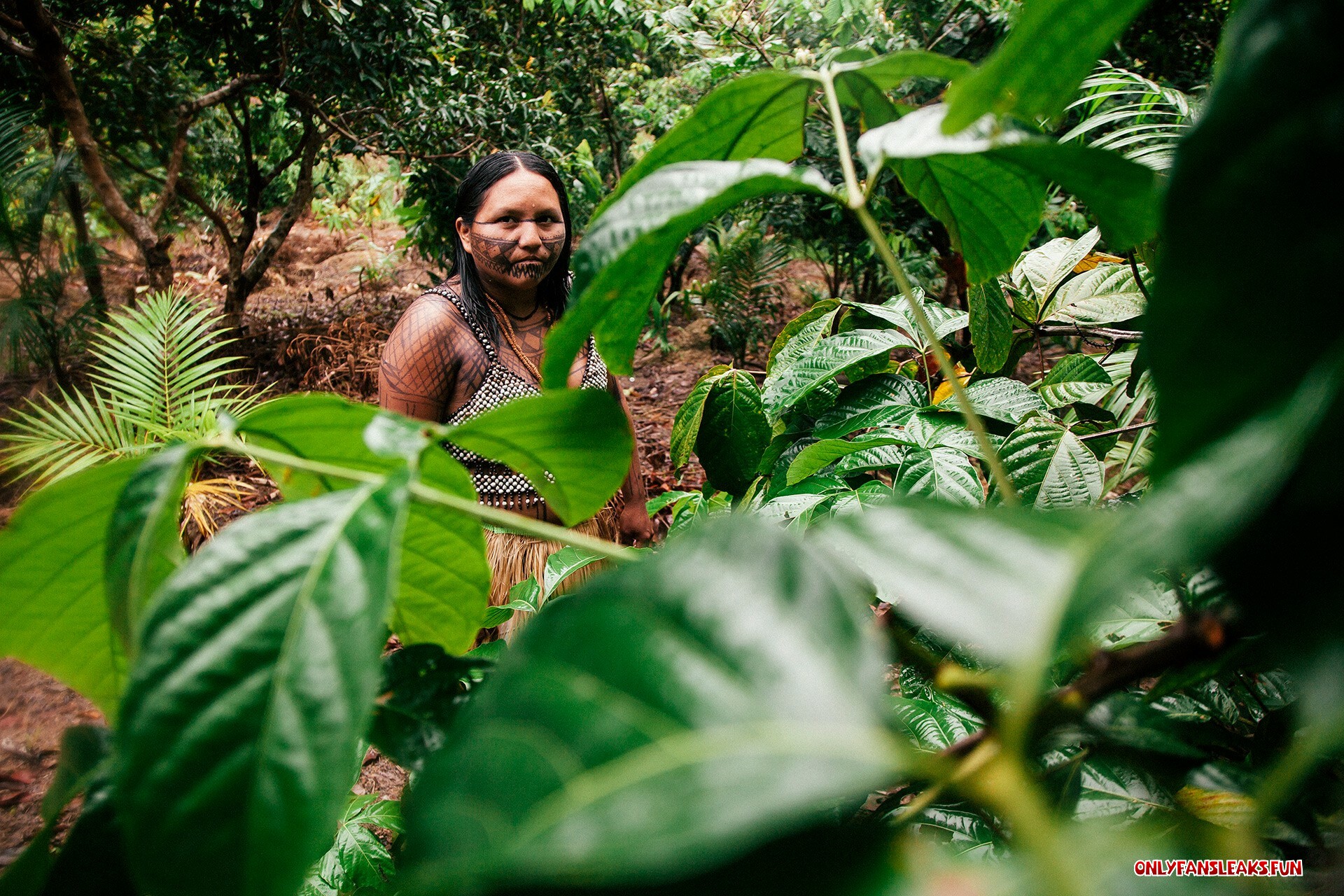 amarzon rain forest tribe tiny vagina photo