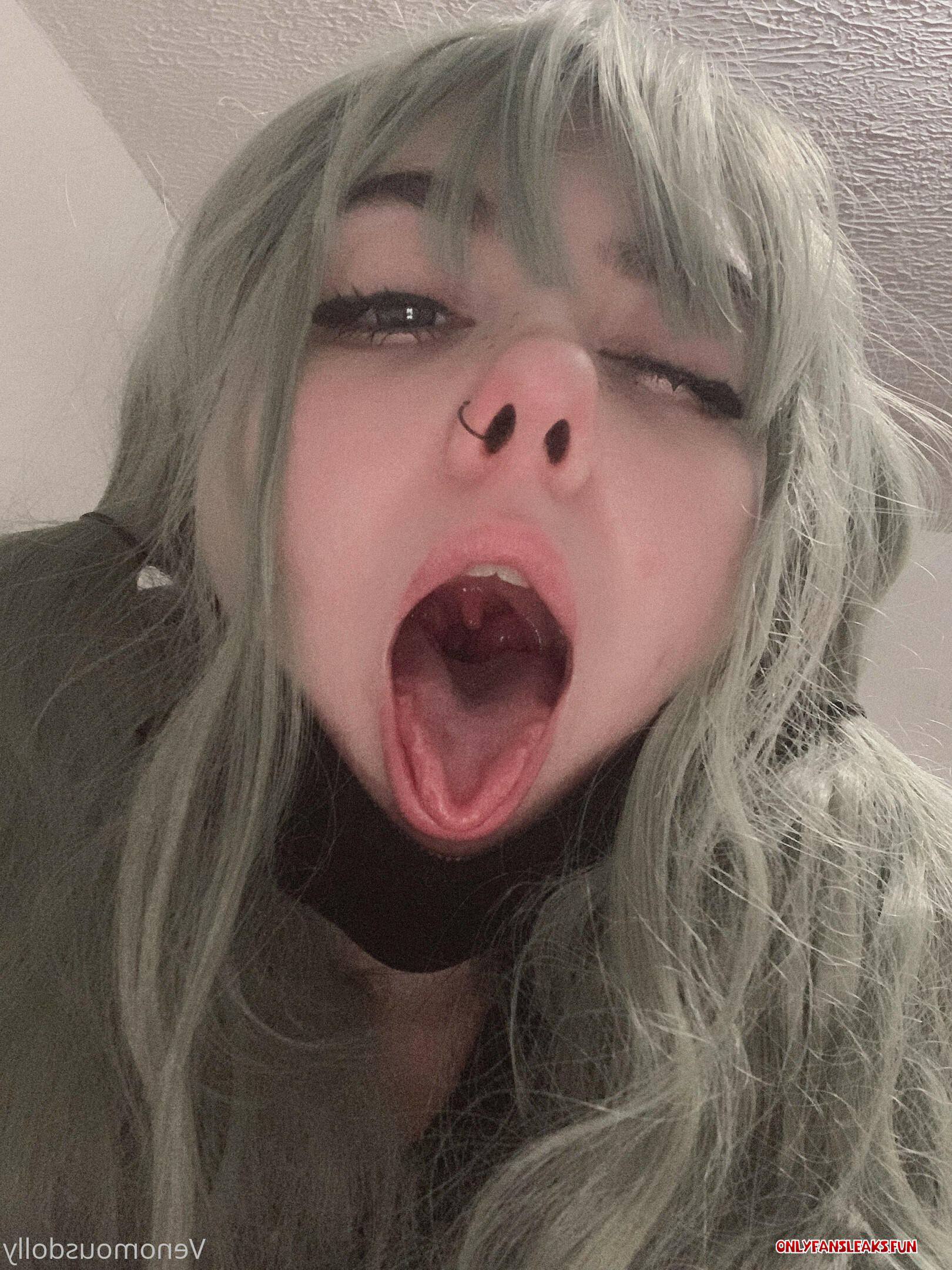 venomous dolly