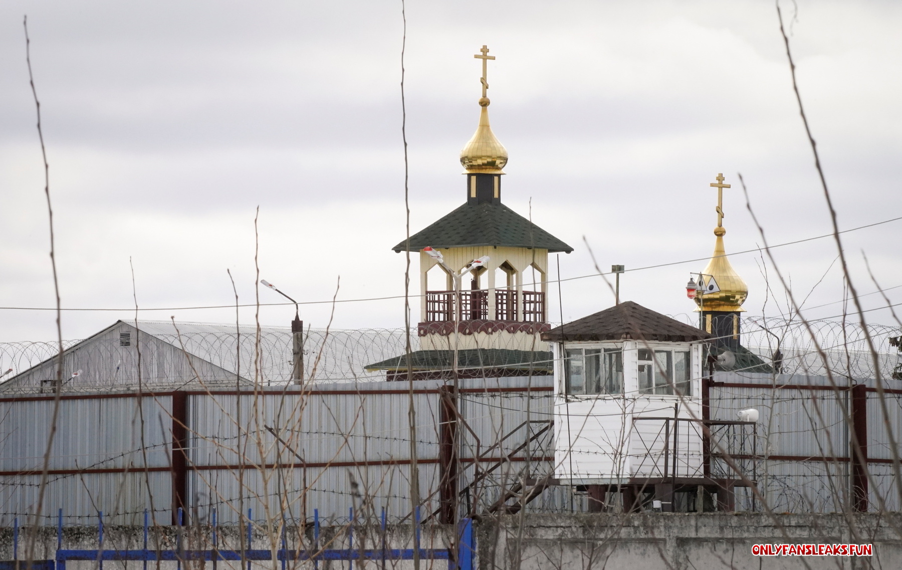 making of russian institute punishments