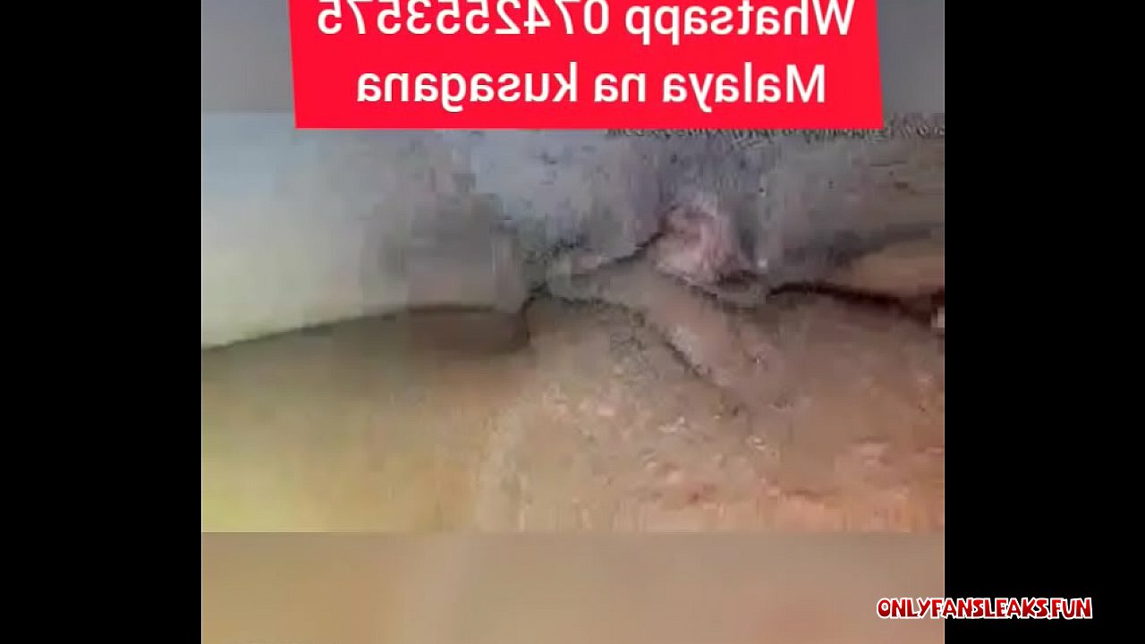 kuma tamu x