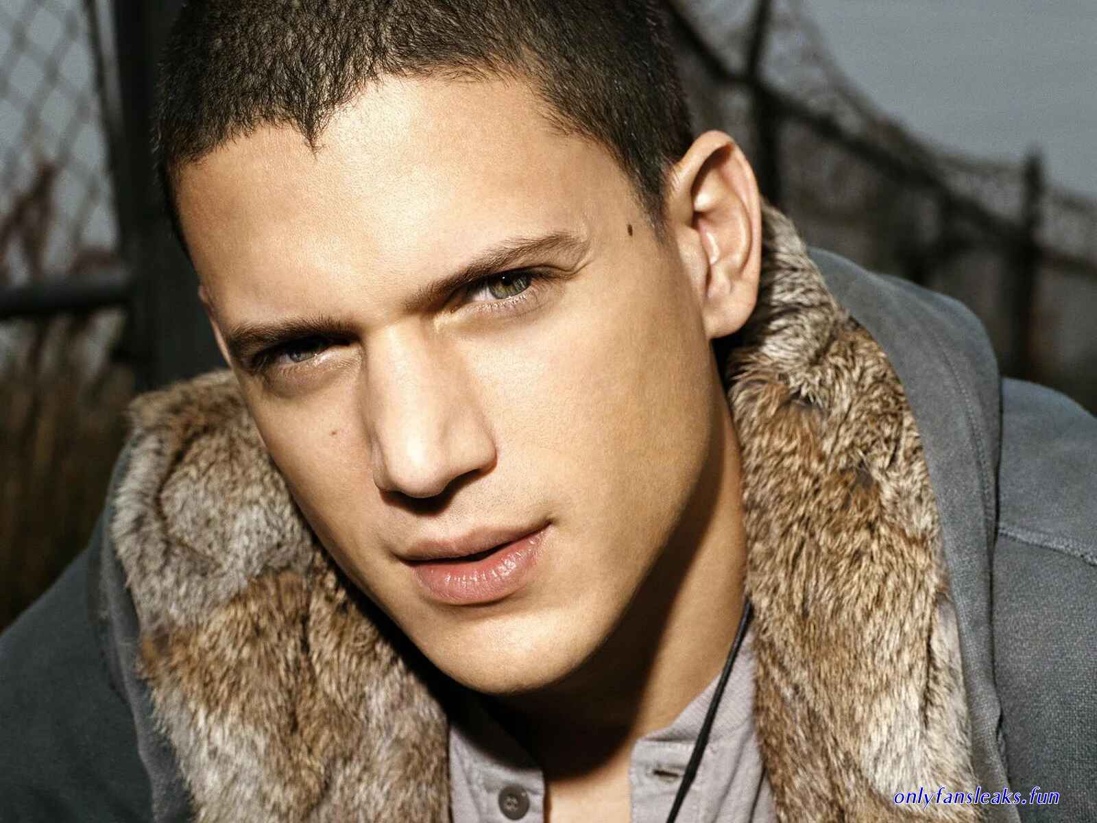 wentworth miller porn