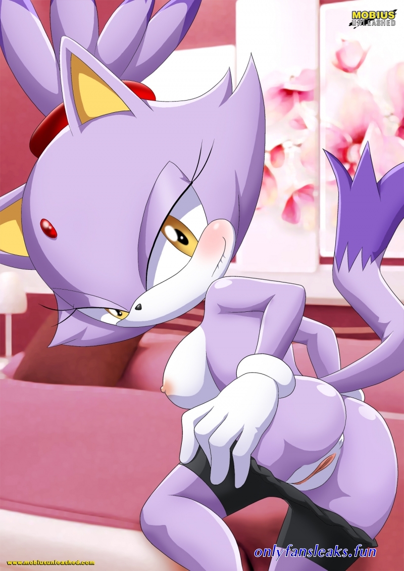 sonic and blaze xxx