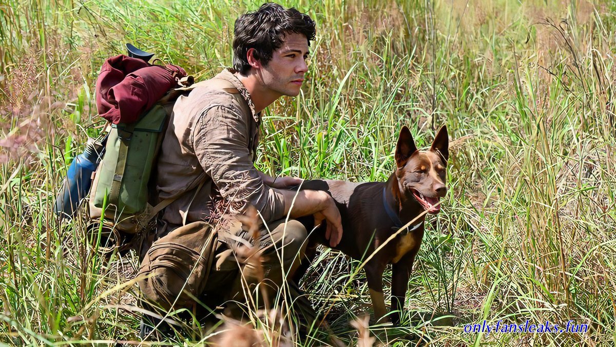 assistir teen wolf maxseries