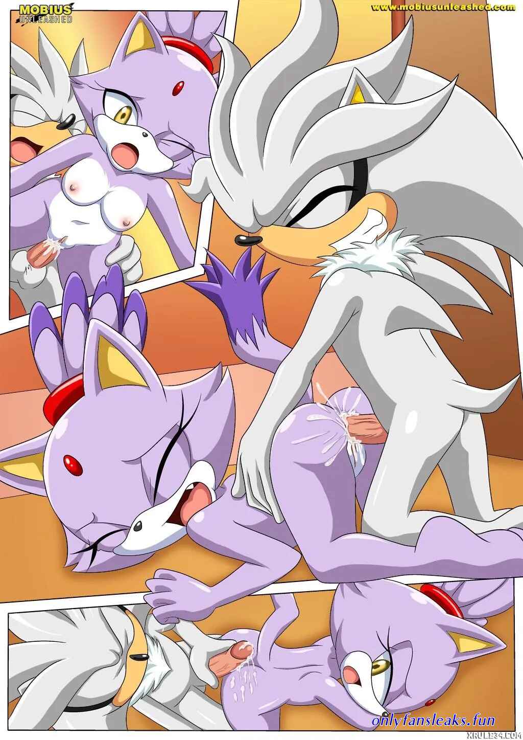 sonic and blaze xxx