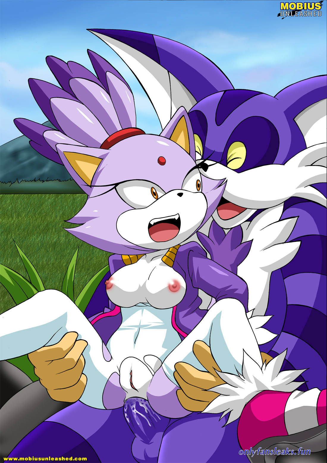 sonic and blaze xxx