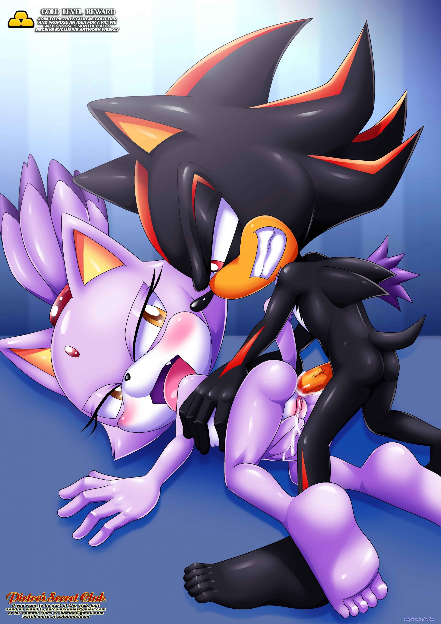 sonic and blaze xxx