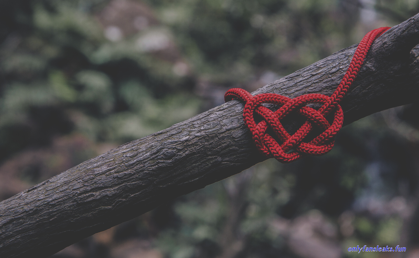 selfbondage single rope
