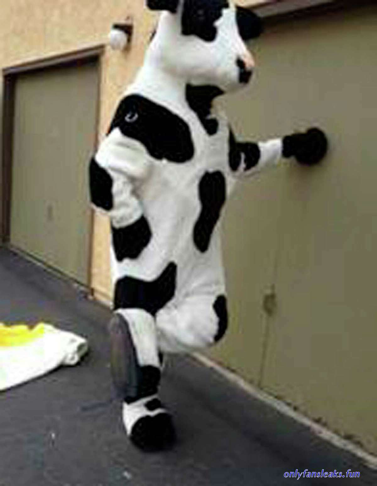 japan cow cos find a camera porn
