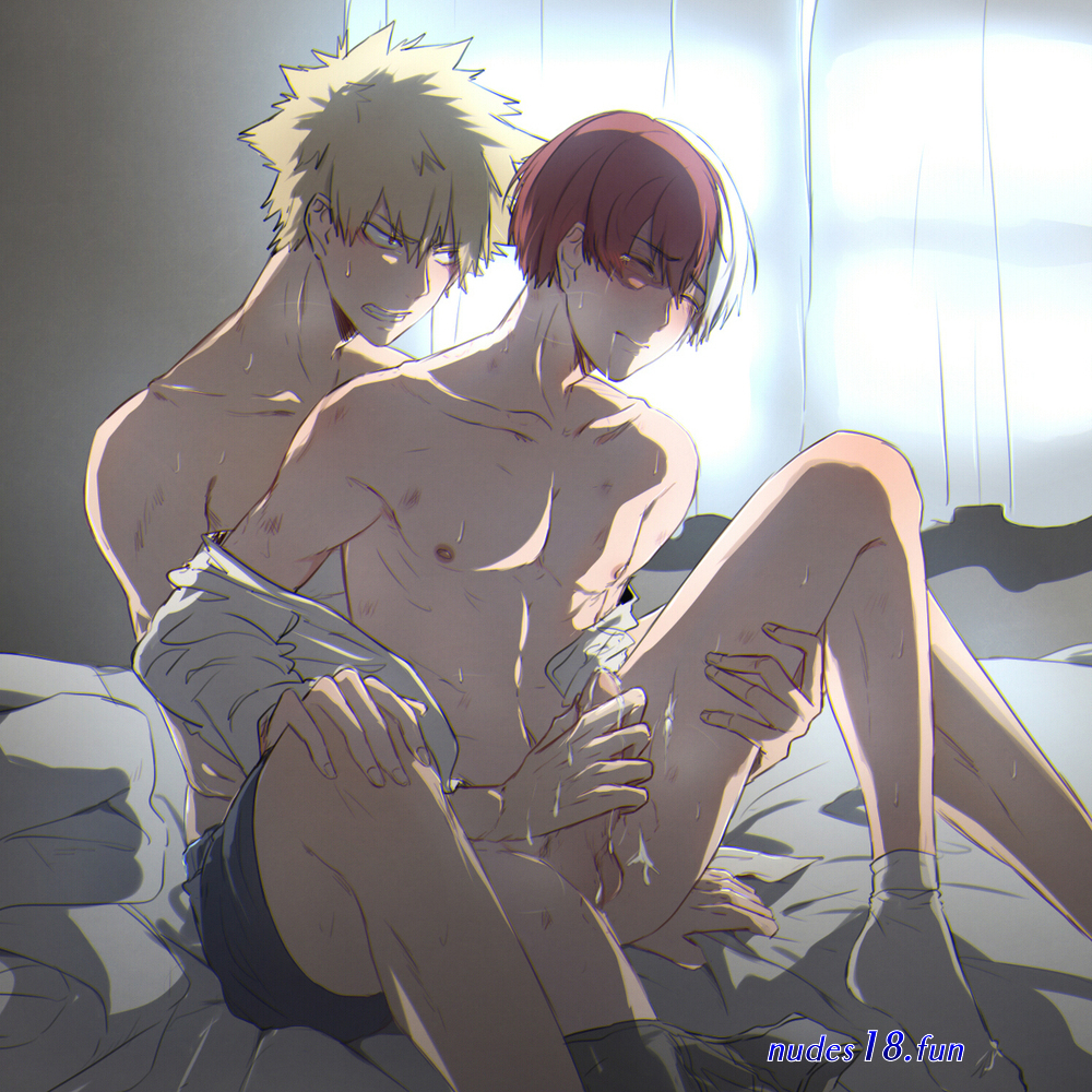 bakugo todoroki zxx