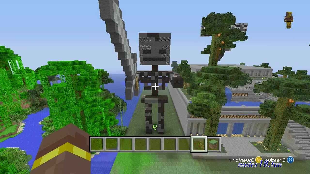 minecraft wither fucking video
