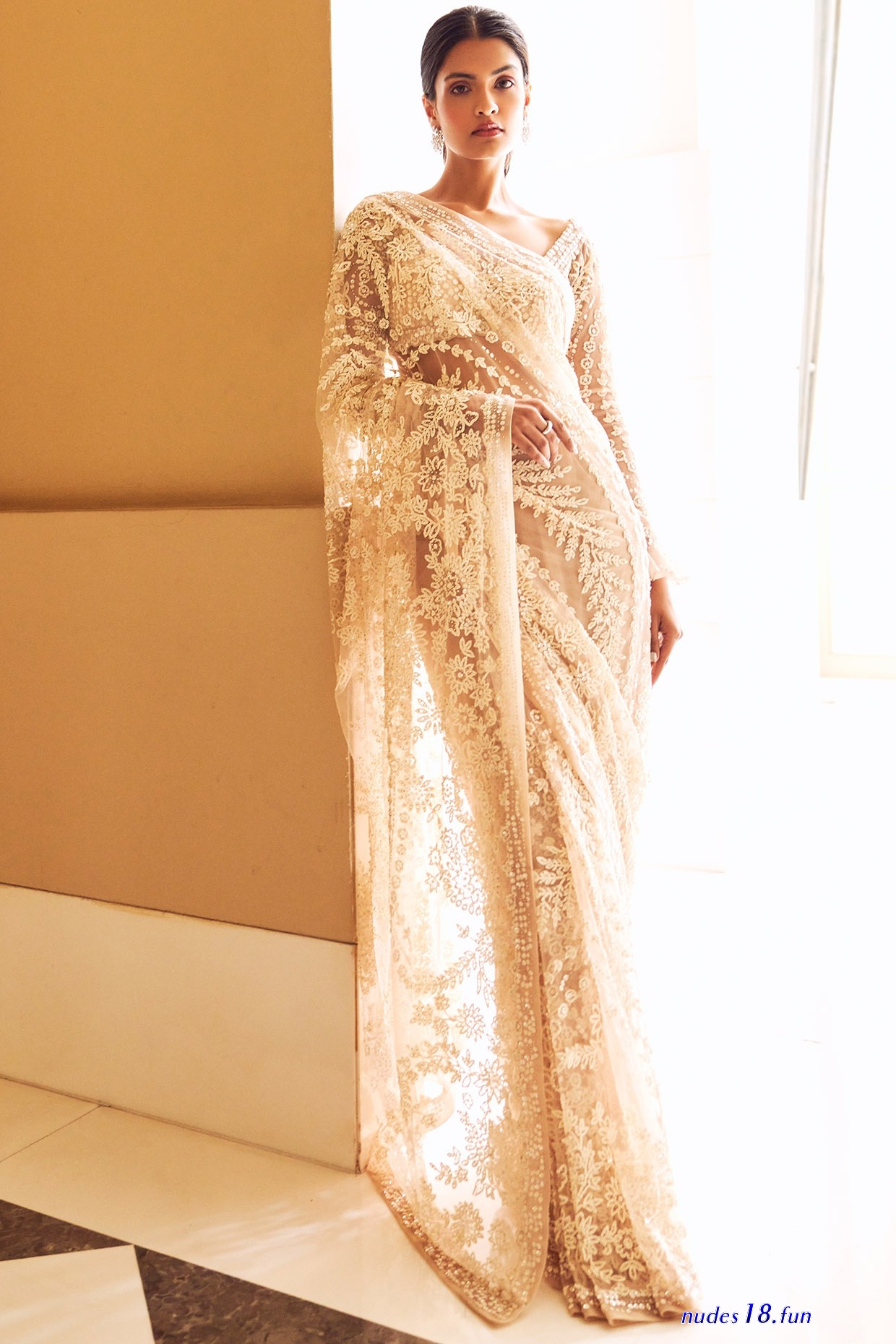 saree nude