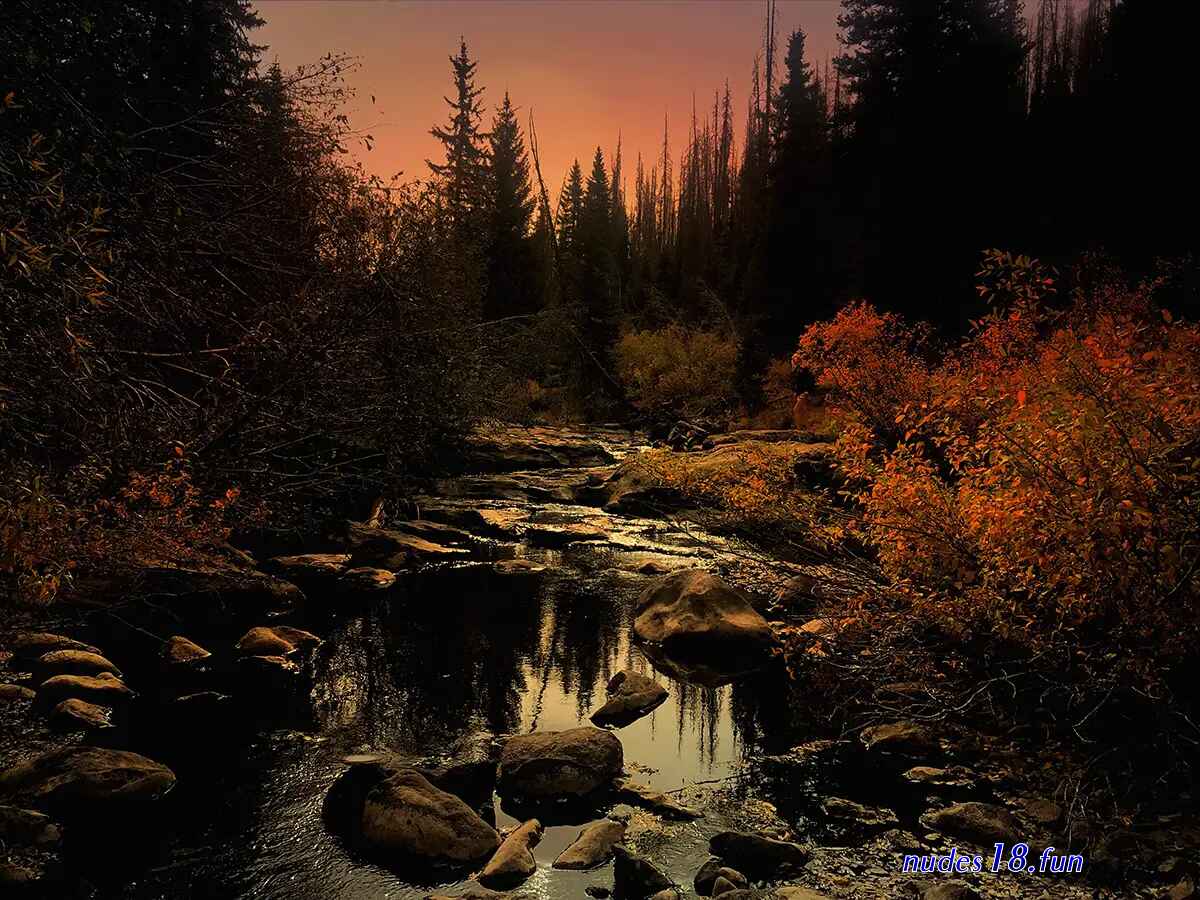 wicked pictures stream