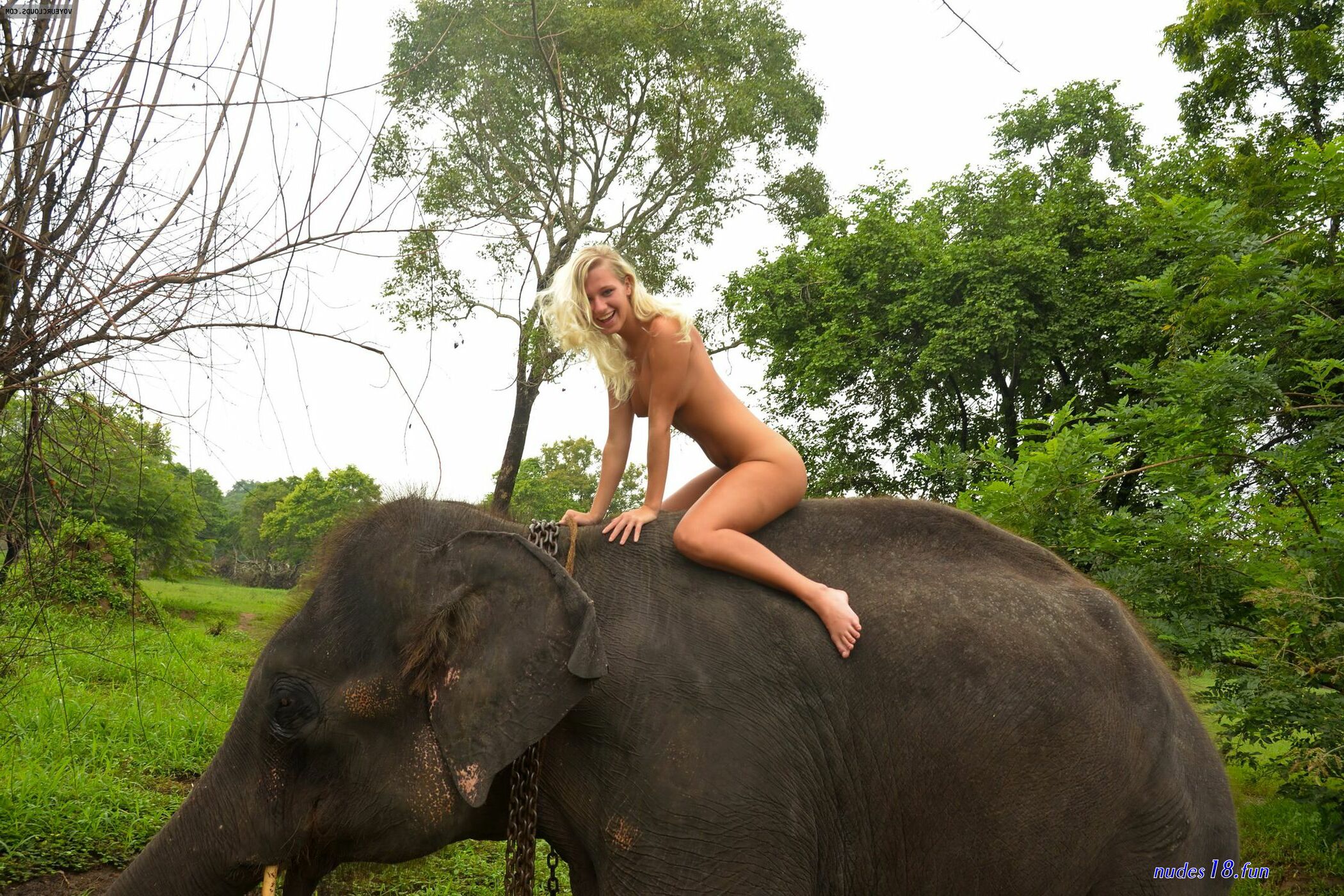 furry elephant copulation