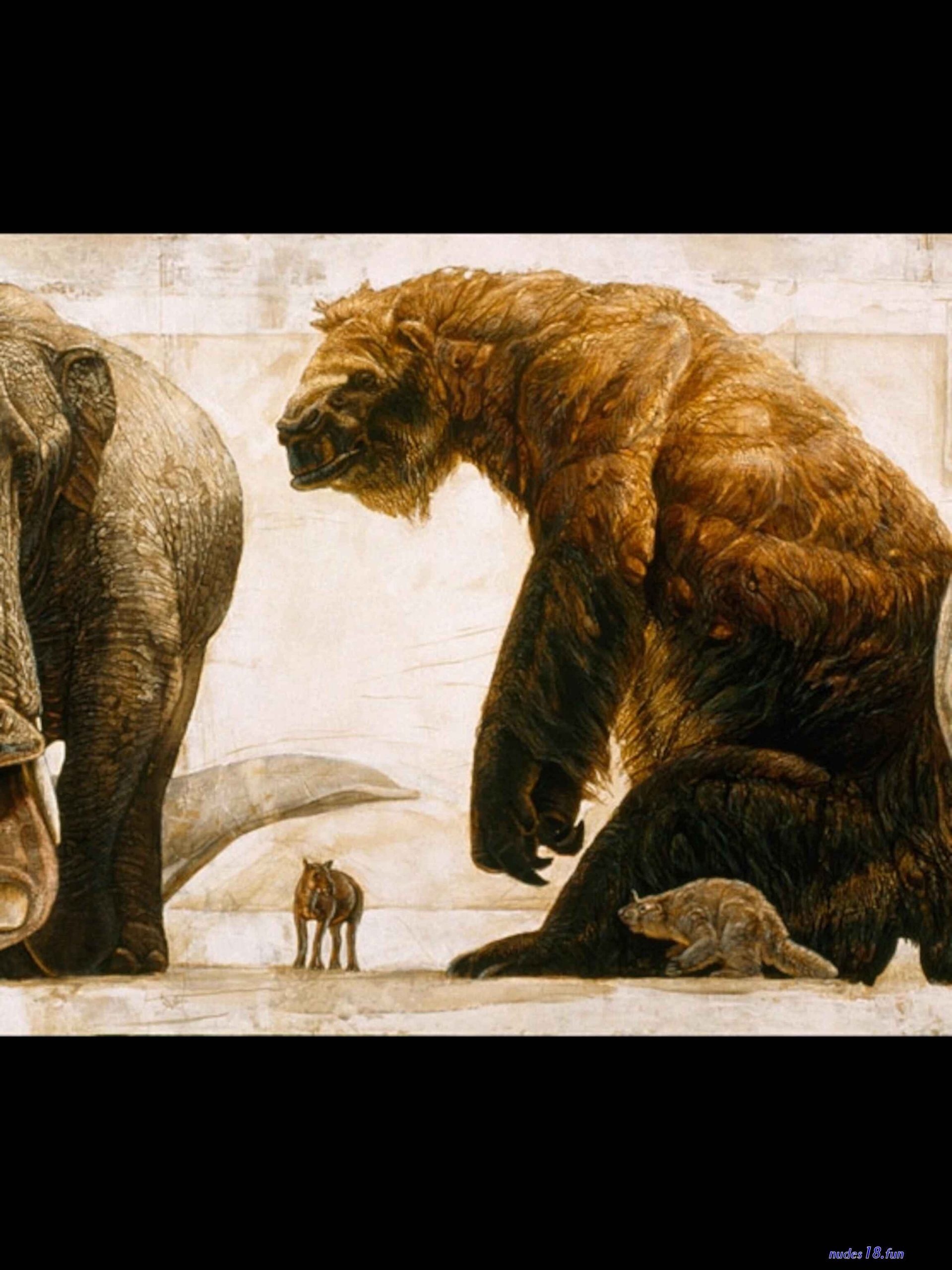 furry elephant copulation