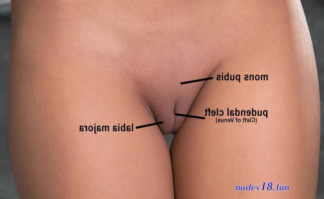 beautiful pubic mounds images