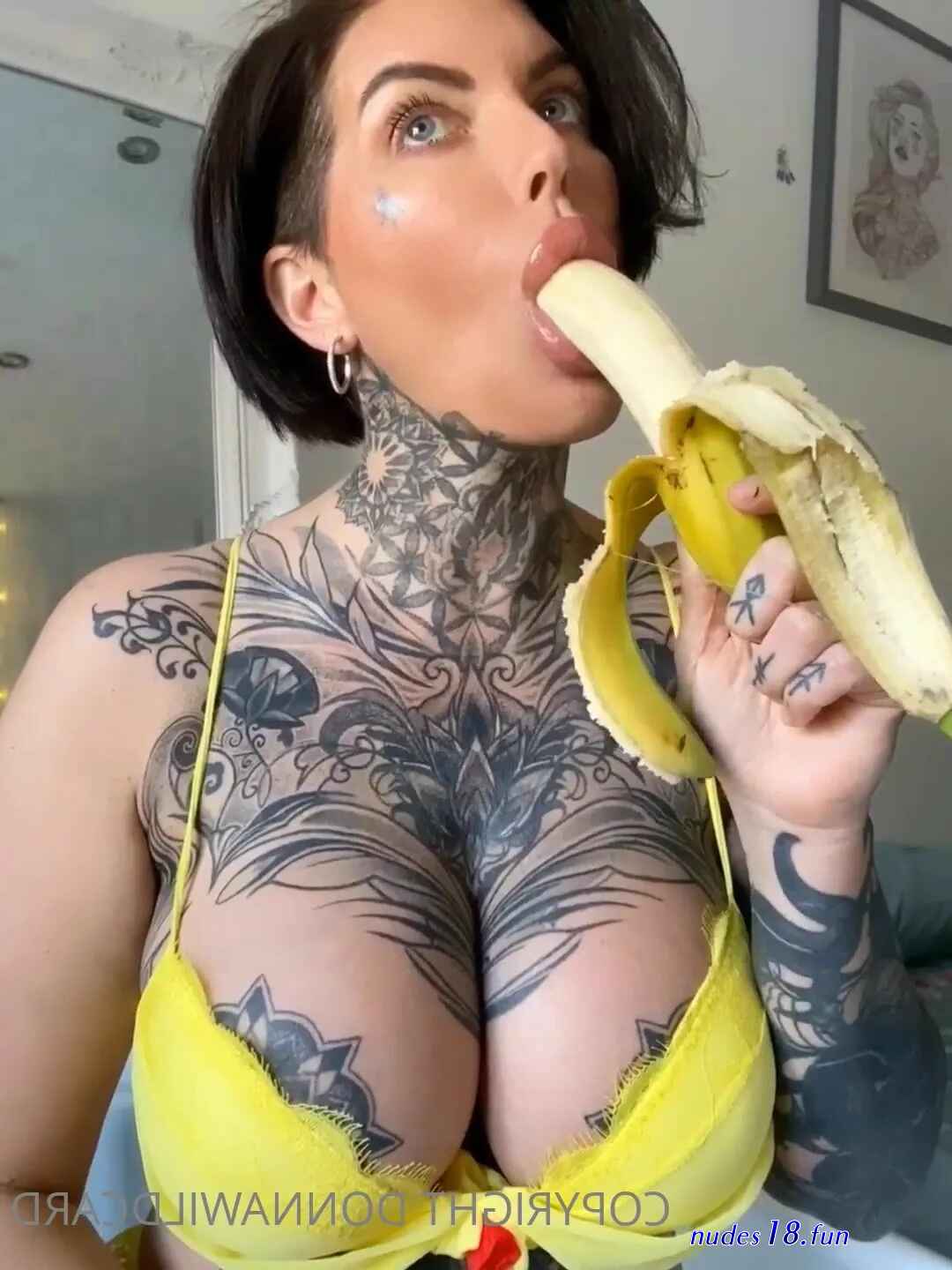 donna wildcard xxx