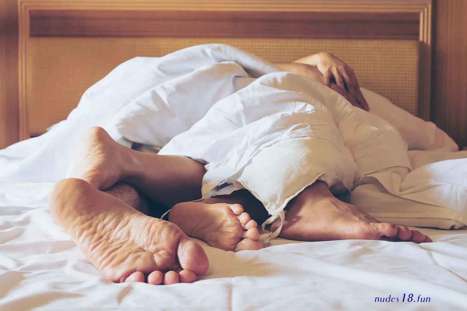 bed escorts