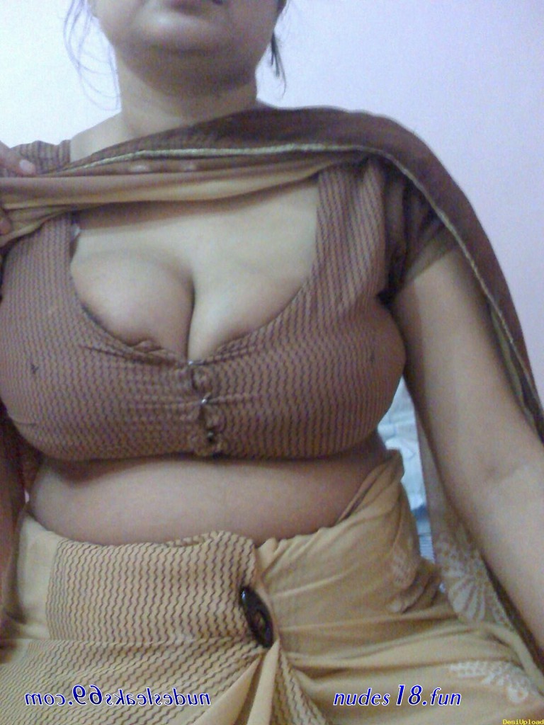 desi boob visible in blouse hot pics