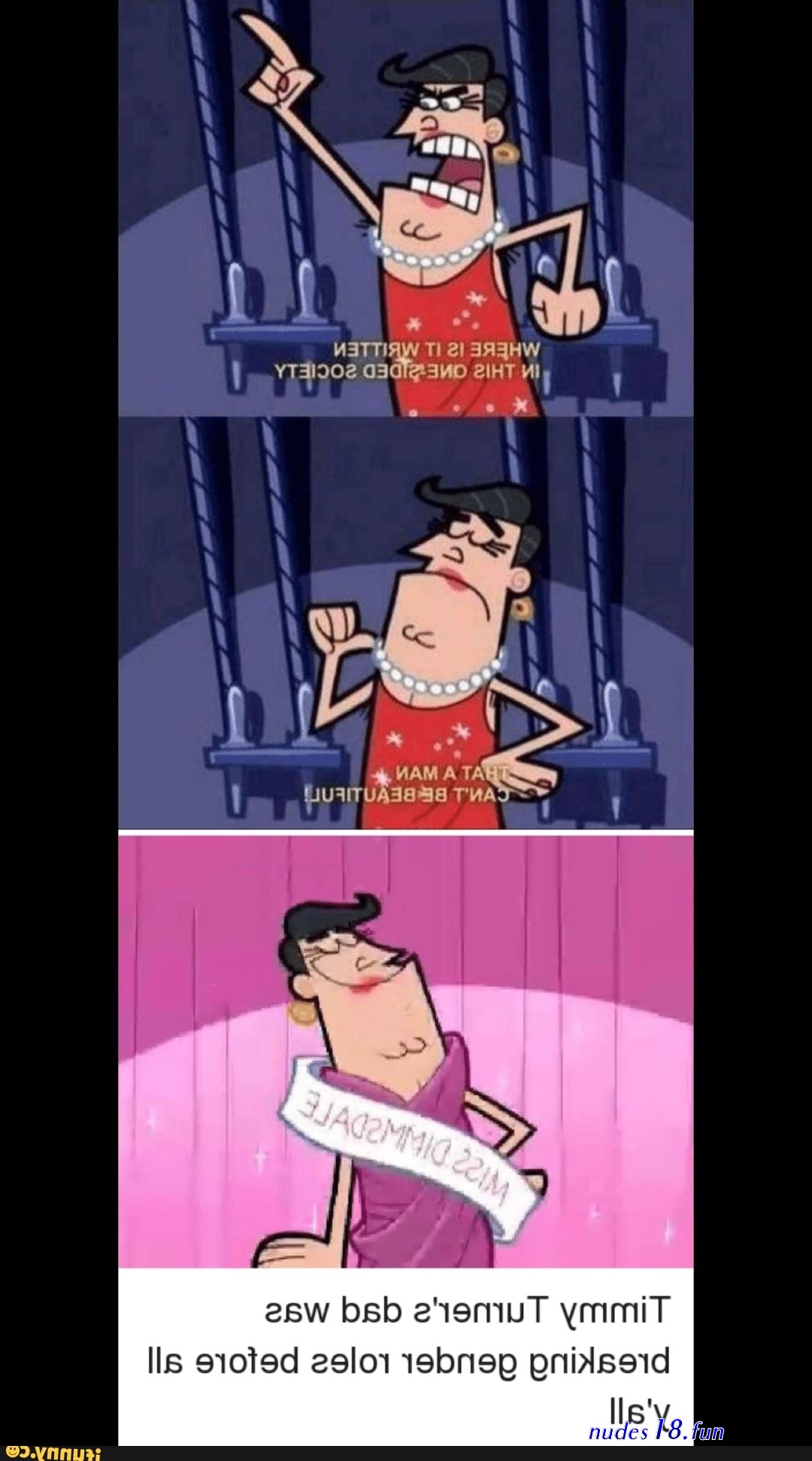 timmy turner gay