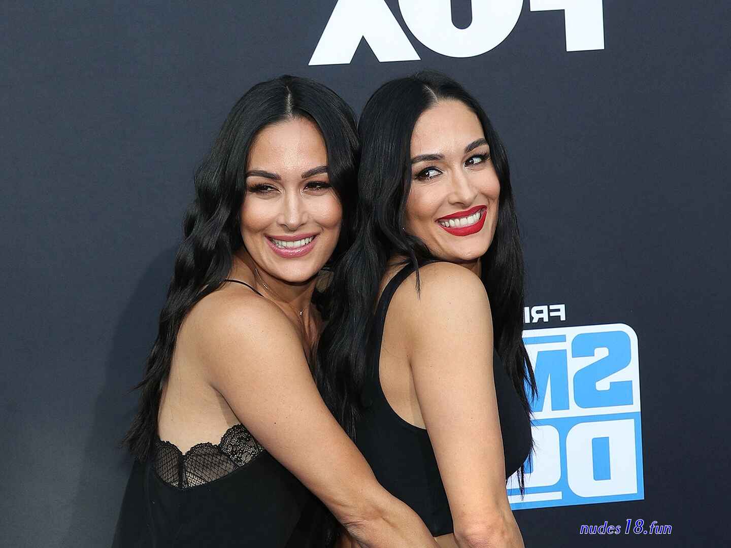 brie bella nude